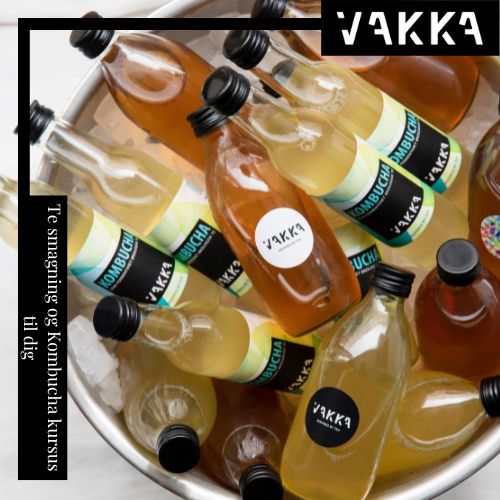 Te smagning og Kombucha kursus