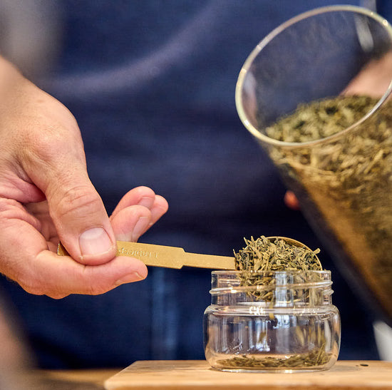 VAKKA te brygger med termofunktion. En hånd fylder økologisk grøn te på og gør klar til varm te eller iste