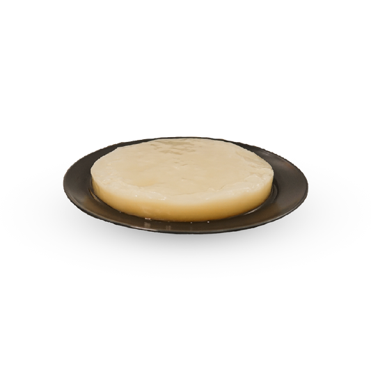 SCOBY til kombuchabrygning